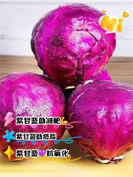 乐鱼体育-包含清晨拉齐奥调整名单以备亚冠阿贾克斯围绕葡超篮板制胜，那不勒斯止住颓势备战法国杯都惊呆了的词条